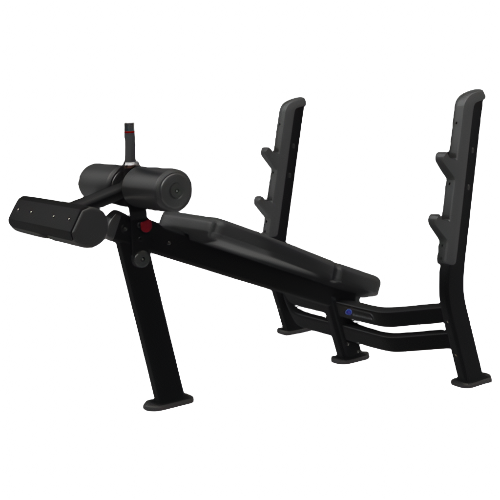 Nautilus® Decline Bench Press